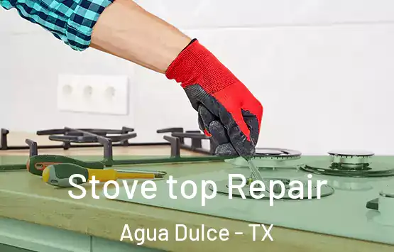  Stove top Repair Agua Dulce - TX