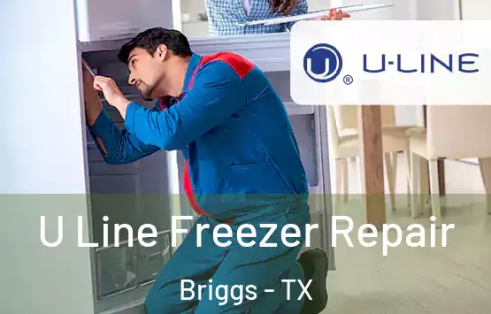  U Line Freezer Repair Briggs - TX