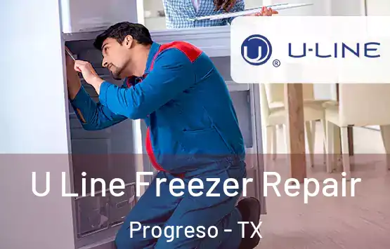  U Line Freezer Repair Progreso - TX