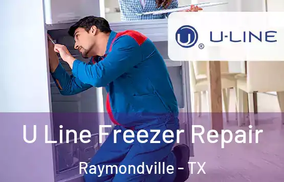  U Line Freezer Repair Raymondville - TX