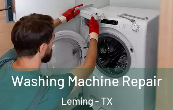  Washing Machine Repair Leming - TX