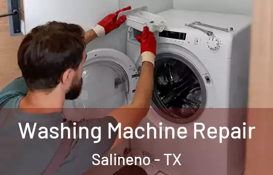  Washing Machine Repair Salineno - TX