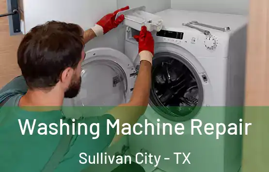  Washing Machine Repair Sullivan City - TX