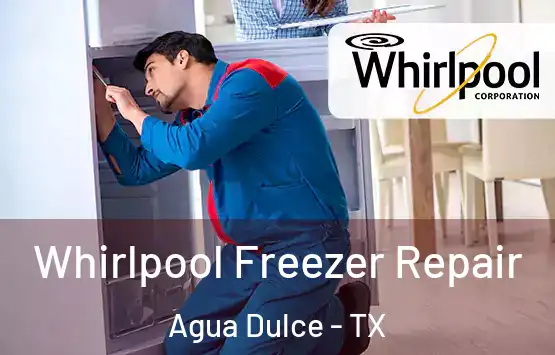  Whirlpool Freezer Repair Agua Dulce - TX