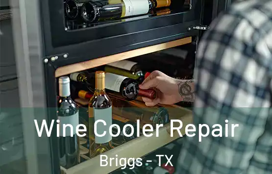  Wine Cooler Repair Briggs - TX