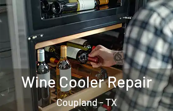  Wine Cooler Repair Coupland - TX