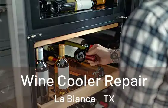  Wine Cooler Repair La Blanca - TX