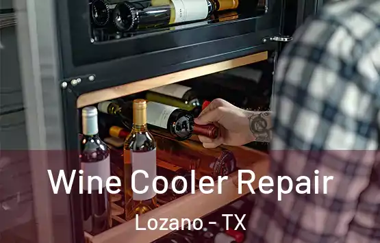 Wine Cooler Repair Lozano - TX