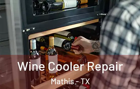  Wine Cooler Repair Mathis - TX