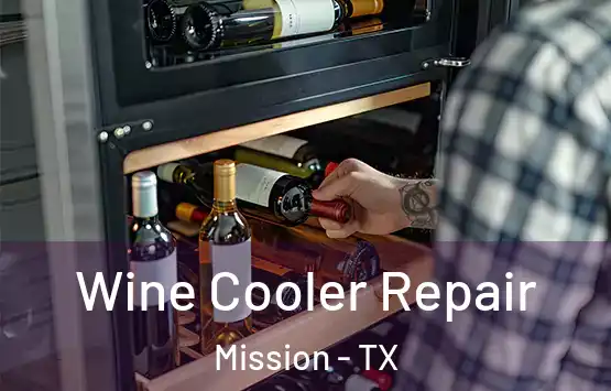  Wine Cooler Repair Mission - TX