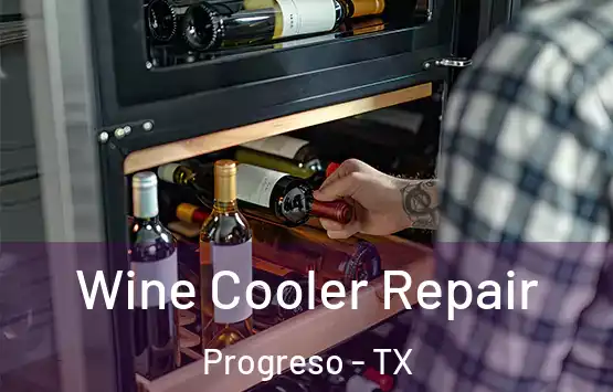  Wine Cooler Repair Progreso - TX