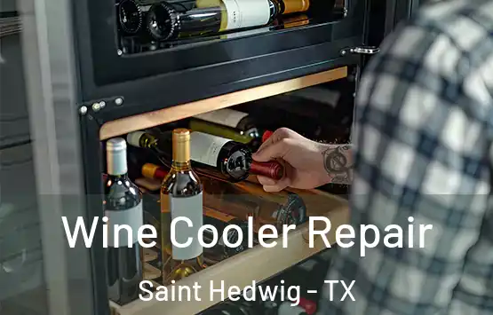  Wine Cooler Repair Saint Hedwig - TX