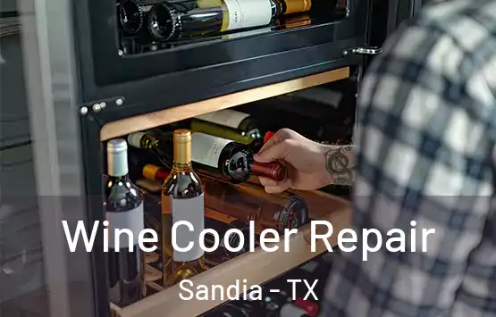  Wine Cooler Repair Sandia - TX