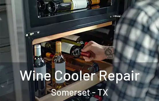  Wine Cooler Repair Somerset - TX