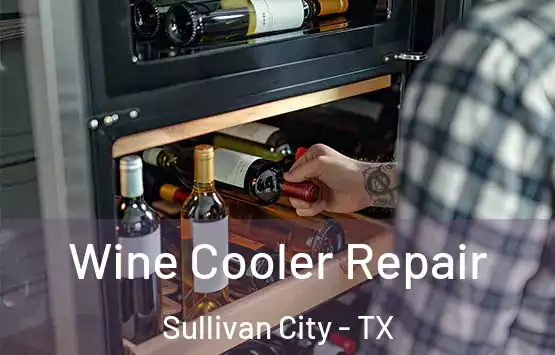  Wine Cooler Repair Sullivan City - TX