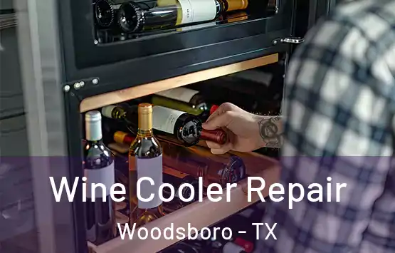  Wine Cooler Repair Woodsboro - TX